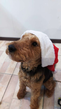 ����������� (����� ������) ���� ���������� ������ - ���� 1 � ����������