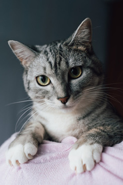 ����� ���� ���������� ������ - ���� 1 � ����������