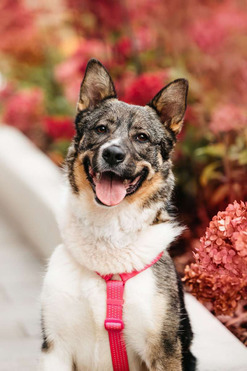 ������ ���� ���������� ������ - ���� 1 � ����������