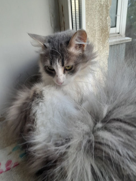 ����������� ����� ������ ���� �����! - ���� 1 � ����������