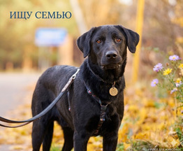 ����� 3,5 ����. ���� �����. - ���� 1 � ����������