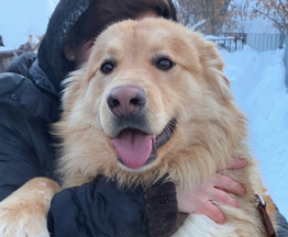 ������ � �������� ����� ���� ���! - ���� 1 � ����������