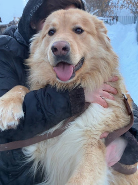 ������ � �������� ����� ���� ���! - ���� 1 � ����������