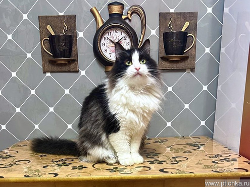 ��������� ����� ���� ���������� ������ - ���� 1 � ����������