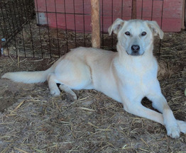 �������� � ������� ����� ��������� - ���� 1 � ����������