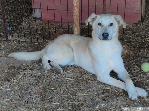 �������� � ������� ����� ��������� - ���� 1 � ����������