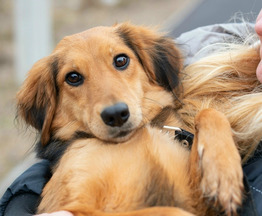 ��������� ������� ��� � ������ ���� - ���� 1 � ����������