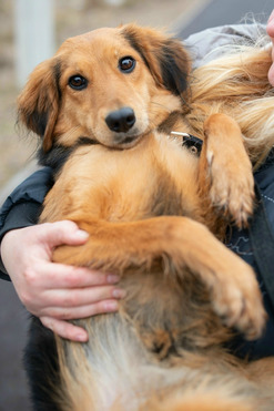 ��������� ������� ��� � ������ ���� - ���� 1 � ����������