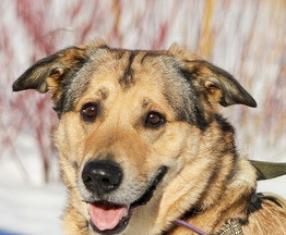 ����� ����� ���� ���� ����� - ���� 1 � ����������