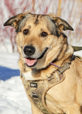 ����� ����� ���� ���� ����� - ���� 1 � ����������