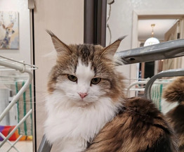 ����� - ��������� ����� � ������� ���������� - ���� 1 � ����������