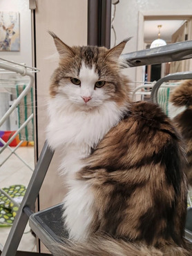 ����� - ��������� ����� � ������� ���������� - ���� 1 � ����������