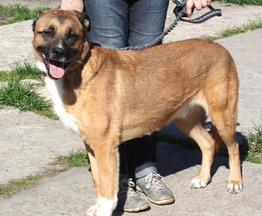 �������, �������� ���� -������ ��������� ����� ���� ���� �����! - ���� 1 � ����������