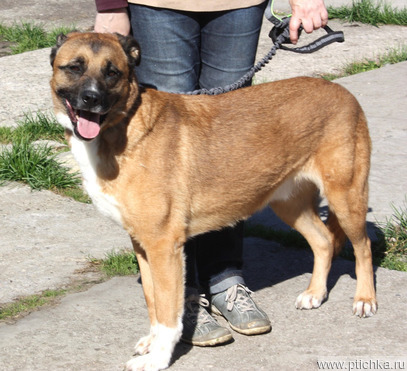 �������, �������� ���� -������ ��������� ����� ���� ���� �����! - ���� 1 � ����������