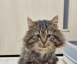 ��� ��������� ���� ������� ����� - ���� 1 � ����������