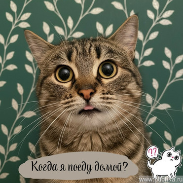 ������� ���� � ������ ���� - ���� 1 � ����������