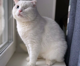 ����������� ��������� ����� (������� ����) ���� ���������� ������ - ���� 1 � ����������