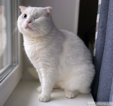 ����������� ��������� ����� (������� ����) ���� ���������� ������ - ���� 1 � ����������