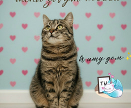 ���� ��� �������������� ������� ����� - ���� 1 � ����������