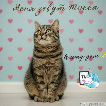 ���� ��� �������������� ������� ����� - ���� 1 � ����������