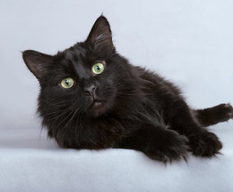 ��������� ����� ���� ���������� ������ - ���� 1 � ����������