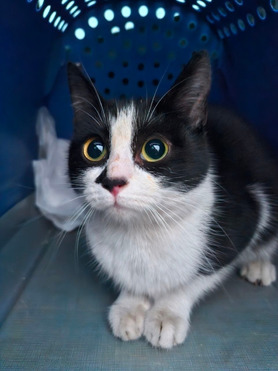 ������ ������� � ������� ���� - ���� 1 � ����������