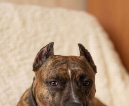 ������� ���� ���������� ������ - ���� 1 � ����������