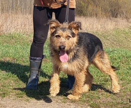 ������ (���, �������) � ��� ������� ���� � ���������! - ���� 1 � ����������