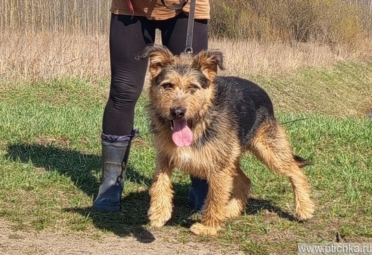 ������ (���, �������) � ��� ������� ���� � ���������! - ���� 1 � ����������