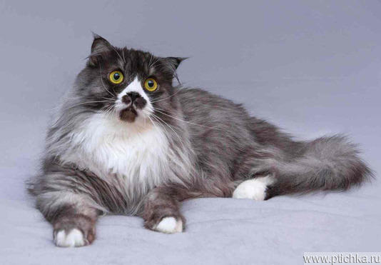 ��������� ����� ���� ���������� ������ - ���� 1 � ����������