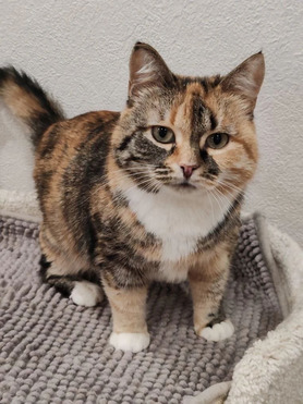 ������� - ���� ��������� �������� ������� - ���� 1 � ����������