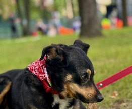 ���������� ������� ���� ���! - ���� 1 � ����������