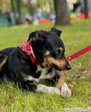 ���������� ������� ���� ���! - ���� 1 � ����������