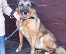 ��������� - ������ ���������, ������ �������� ����� ���� ���� ������ �����! - ���� 1 � ����������