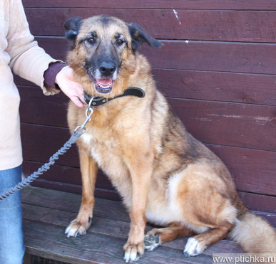 ��������� - ������ ���������, ������ �������� ����� ���� ���� ������ �����! - ���� 1 � ����������