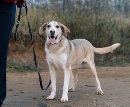 ��� ���� ������� � ������ ���. - ���� 1 � ����������