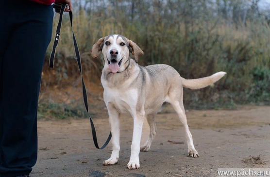 ��� ���� ������� � ������ ���. - ���� 1 � ����������