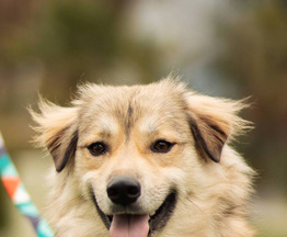 ������ 2,5 ���� ���� ���. - ���� 1 � ����������