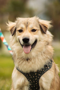 ������ 2,5 ���� ���� ���. - ���� 1 � ����������