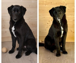 ������ ���� ���������� ������ - ���� 1 � ����������