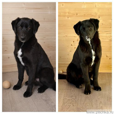 ������ ���� ���������� ������ - ���� 1 � ����������