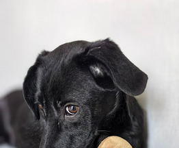 ����� - ���� ������� �������! - ���� 1 � ����������