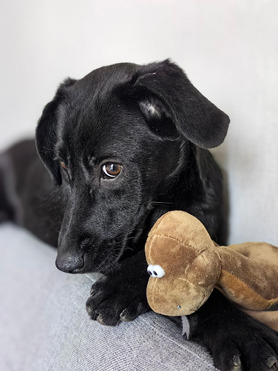 ����� - ���� ������� �������! - ���� 1 � ����������