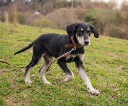 ����� ������ � ������� ��������� - ���� 1 � ����������