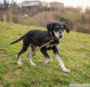 ����� ������ � ������� ��������� - ���� 1 � ����������