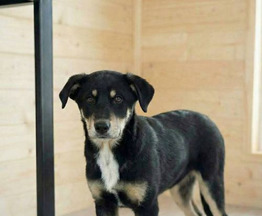 ������ ���� ���������� ������ - ���� 1 � ����������