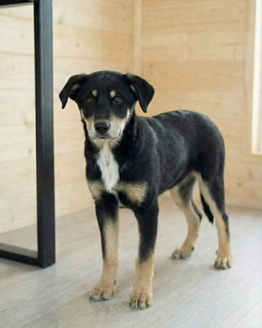 ������ ���� ���������� ������ - ���� 1 � ����������