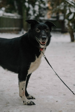 ������ ����� � ������ ���� - ���� 1 � ����������