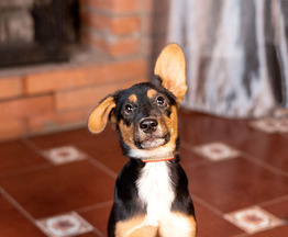 ������ ���� ���������� ������ - ���� 1 � ����������