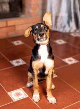 ������ ���� ���������� ������ - ���� 1 � ����������